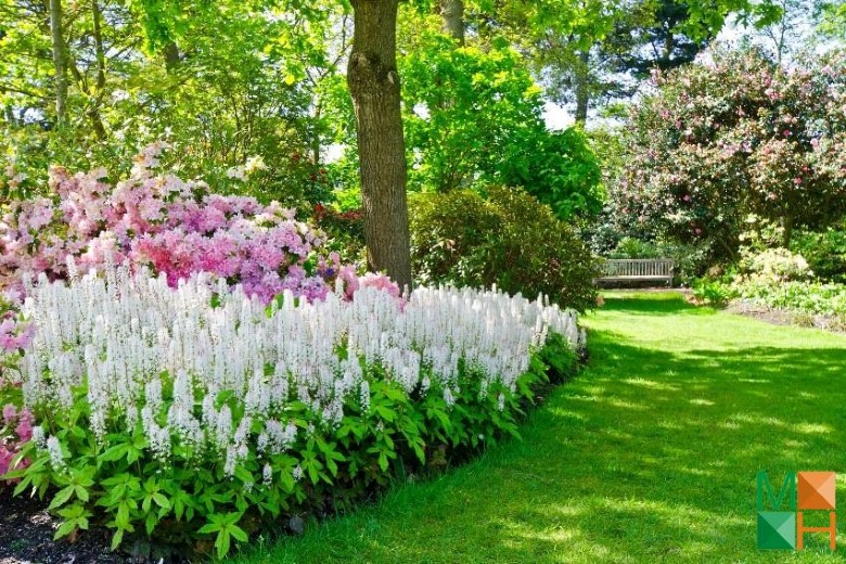 Tranh dán tường cho phòng khách đẹp tại Hà Nội NA - 237